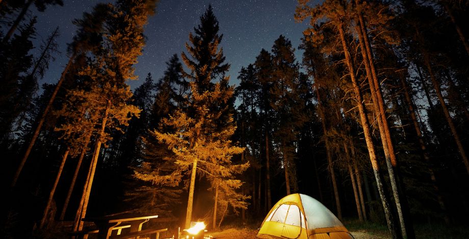 Tienda de acampar iluminada bajo las estrellas y rodeada de pinos.